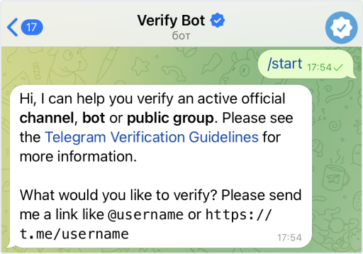 Чат с VerifyBot для верификации бота, группы или канала.