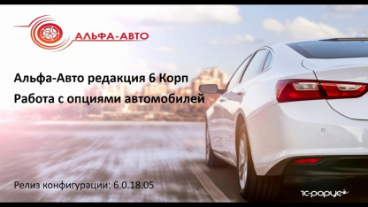 Альфа-Авто 6: Работа с опциями автомобилей