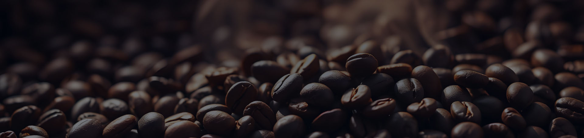 Охотники на кофе, Сидс кофе